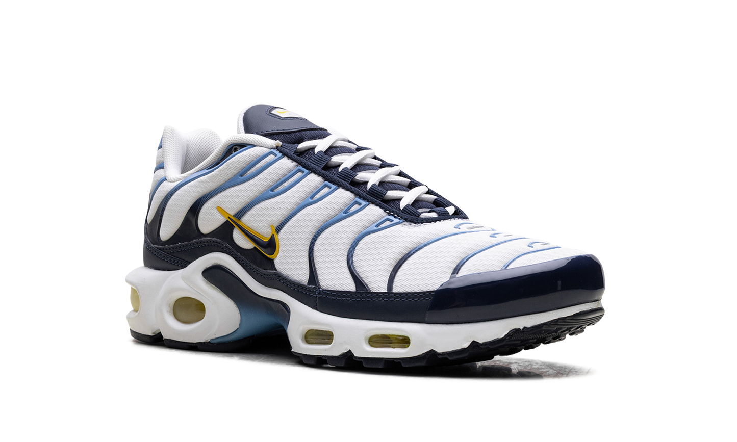 Nike Air Max Plus CT1094 100