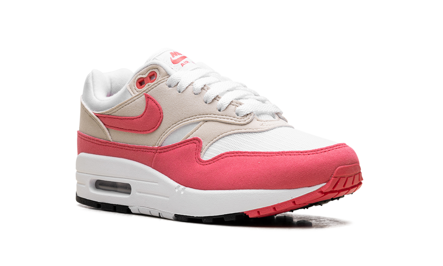 Nike Air Max 1 WMNS "Aster Pink" DZ2628 110