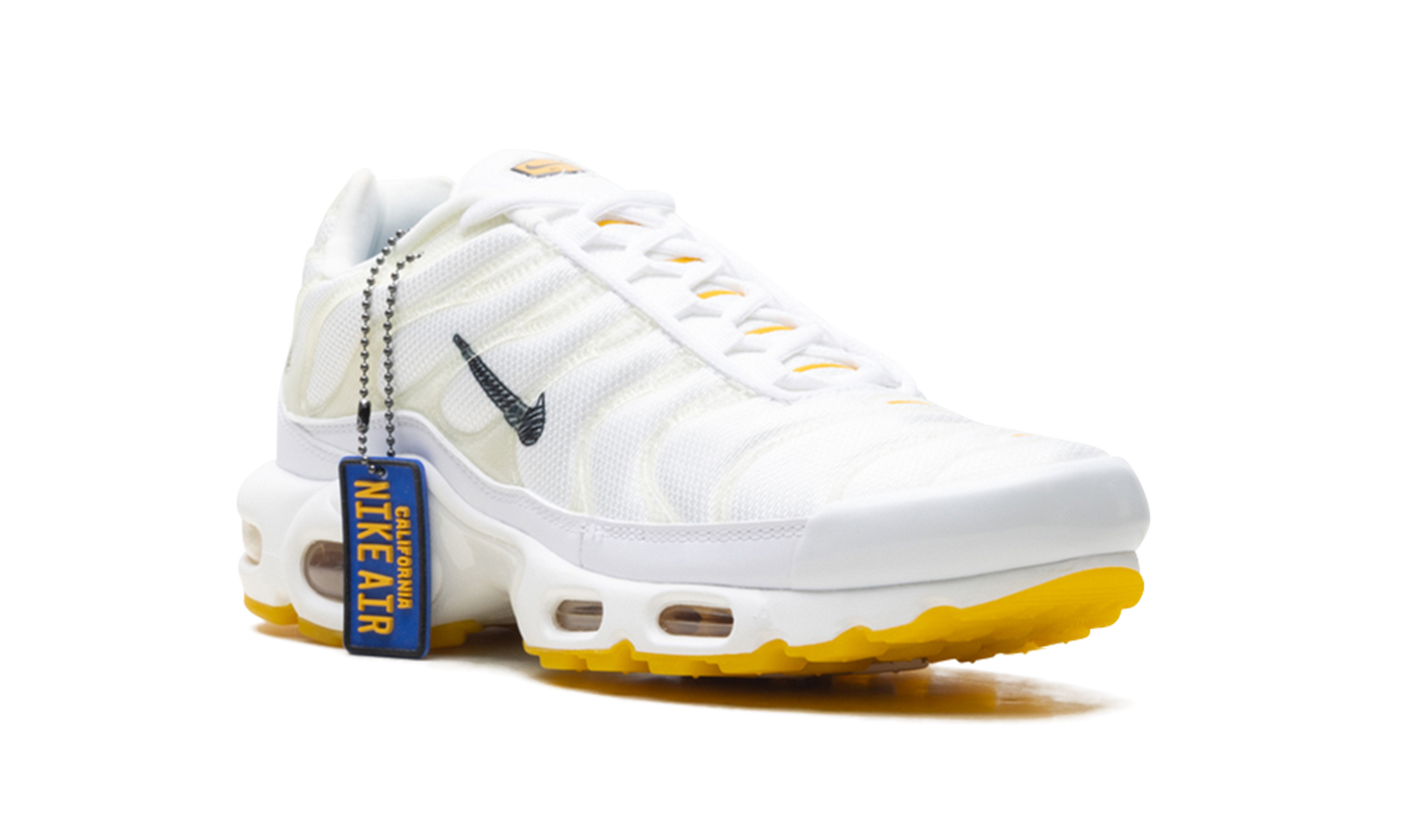 Nike Air Max Plus "Marion Frank Rudy" DQ8960 100
