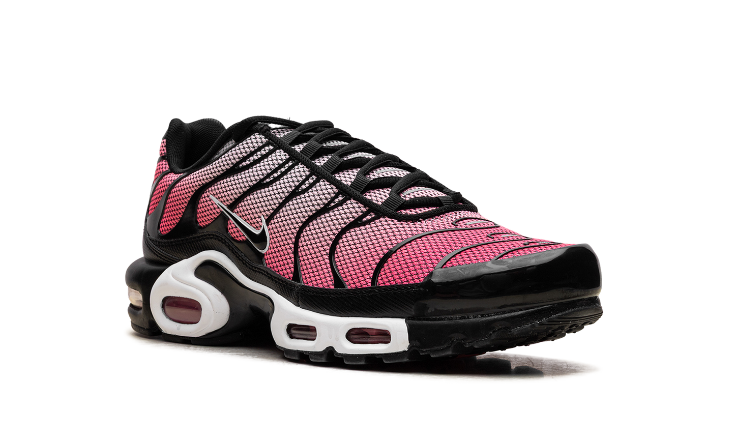 Nike Air Max Plus "All Day" HF3837 600