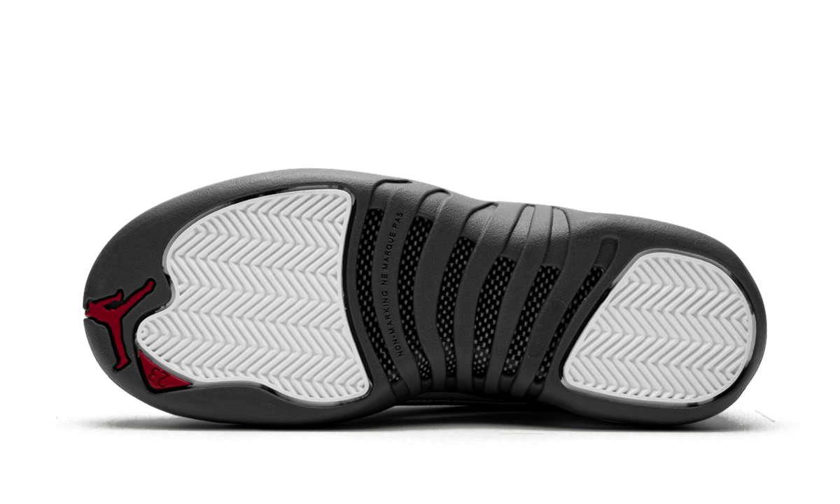 Air Jordan 12 Retro GS Dark Grey 153265 160