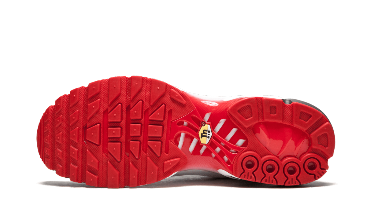 Nike Air Max Plus TN SE AQ0237 100