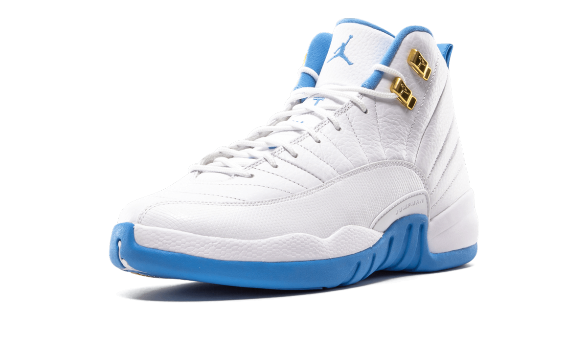 Air Jordan 12 Retro GS MELO 510815 127