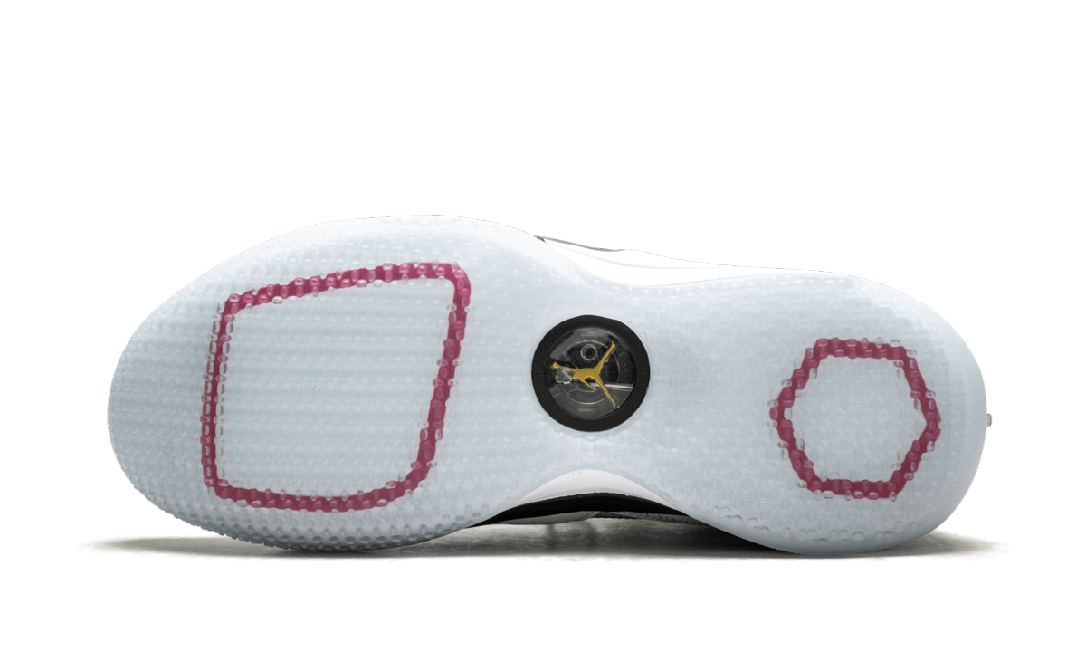 Air Jordan 33 Future of Flight