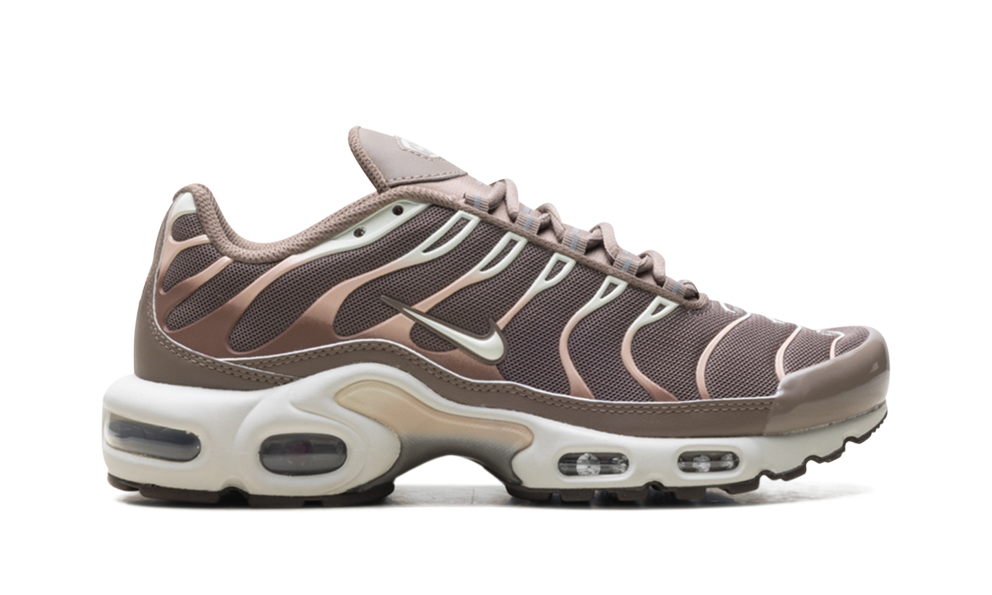 Nike Air Max Plus "Mink Brown" DZ3671 200