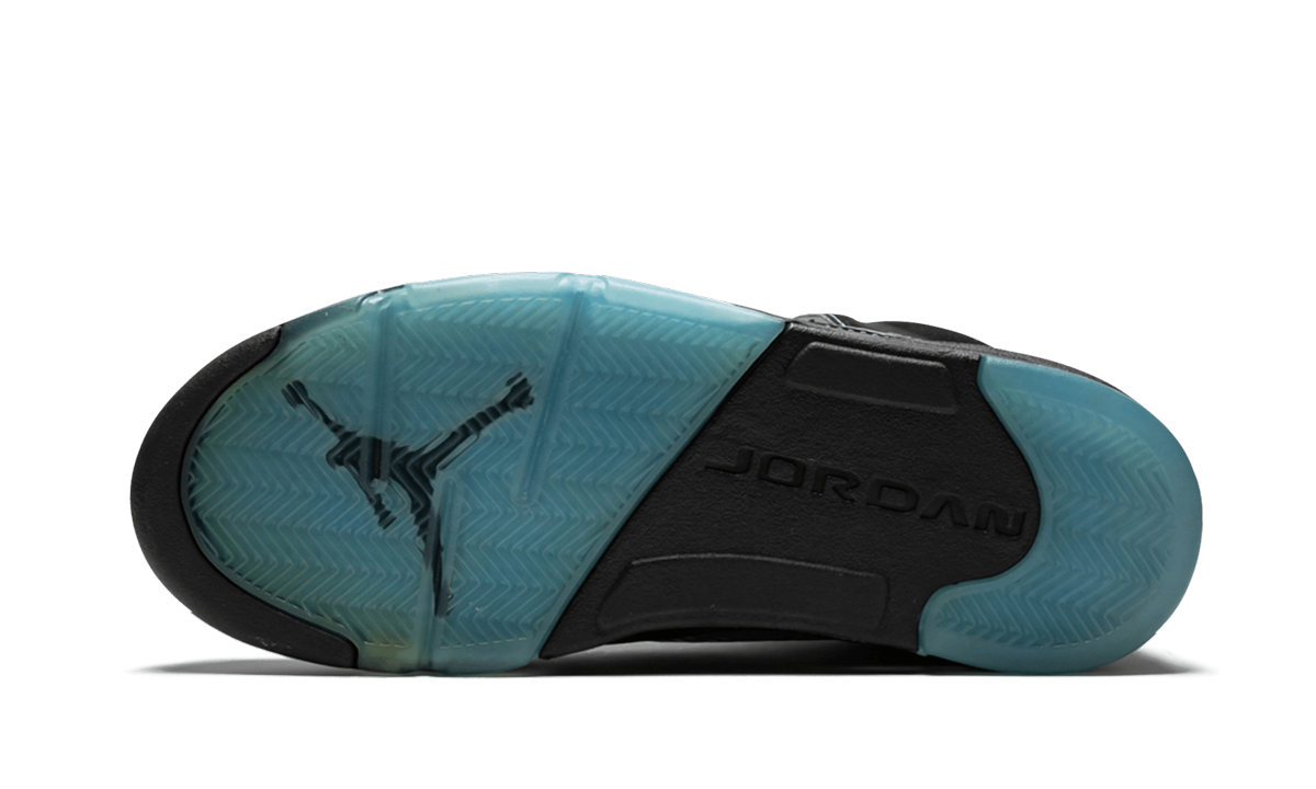 Air Jordan 5 Retro LS UNC 314259 041