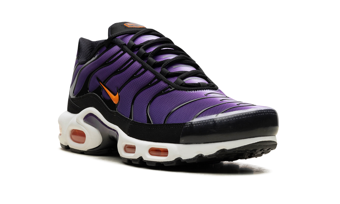 Nike Air Max Plus "Voltage Purple" DX0755 500