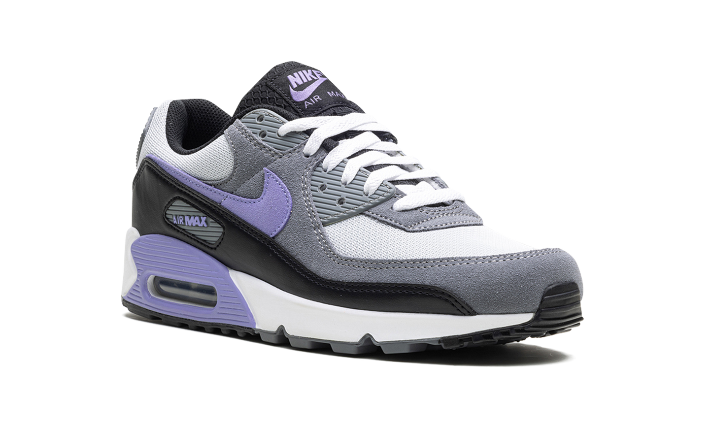 Nike Air Max 90 "Light Thistle" DM0029 014