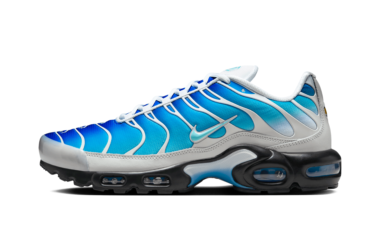 Nike Air Max Plus "One Block Down - Light Photo Blue EU Exclusive" FZ3308 400