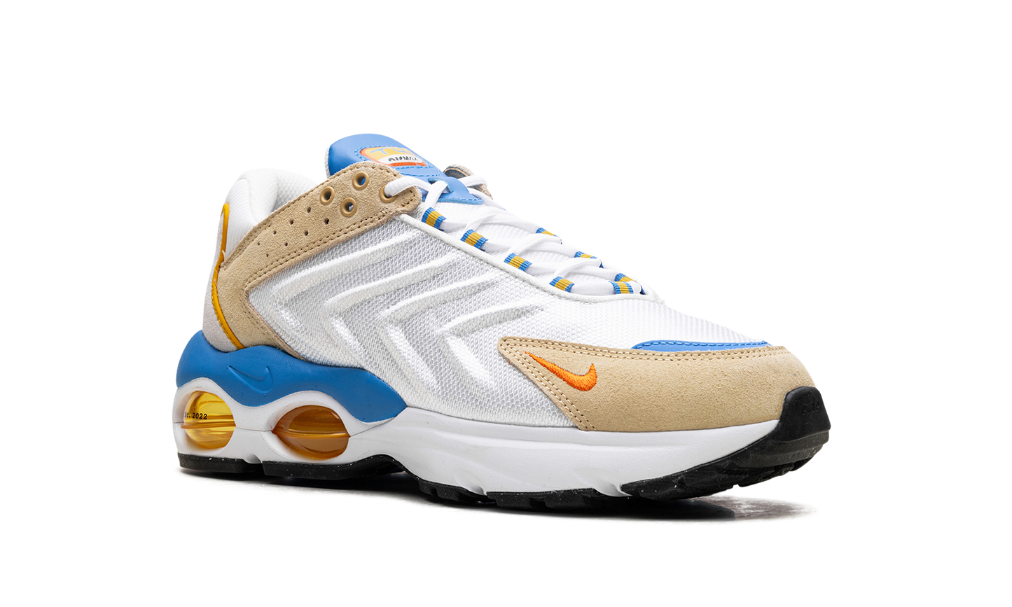 Nike Air Max TW "Frank Rudy" DV1232 100