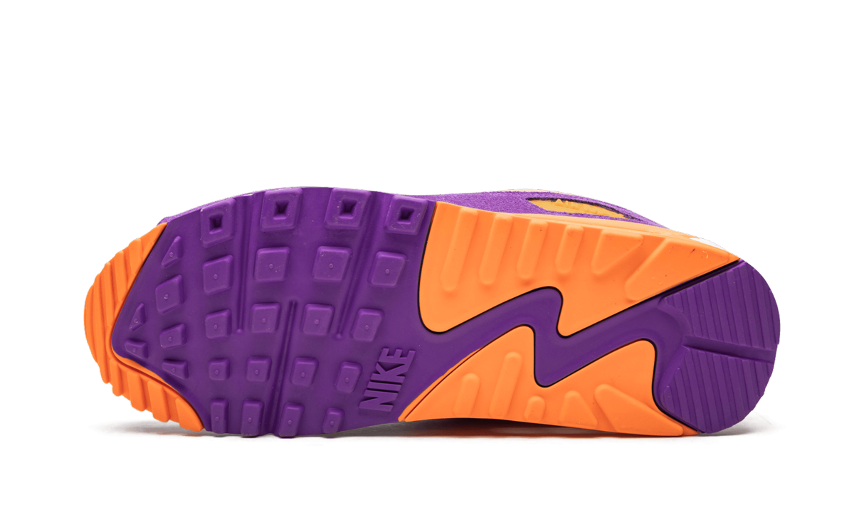 Nike Air Max 90 "Viotech" CD0917 600