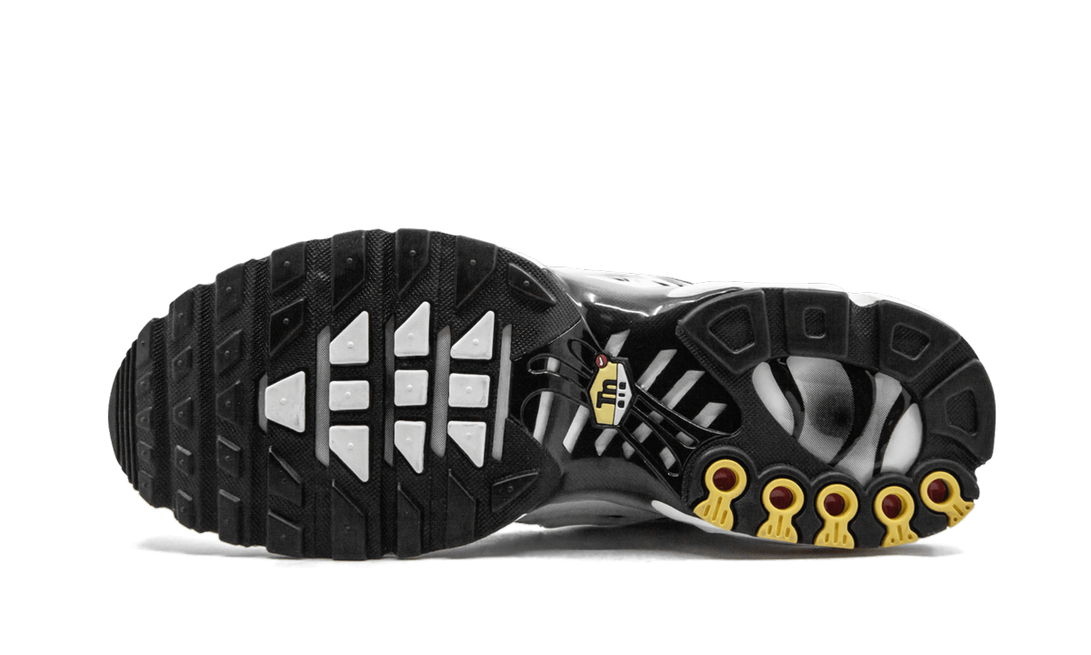 Nike Air Max Plus "White Shark" AJ6311 100