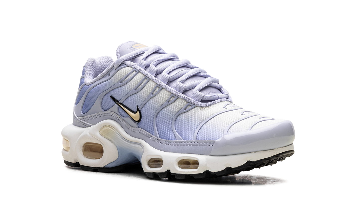 Nike Air Max Plus WMNS "Daybreak" DZ3670 004