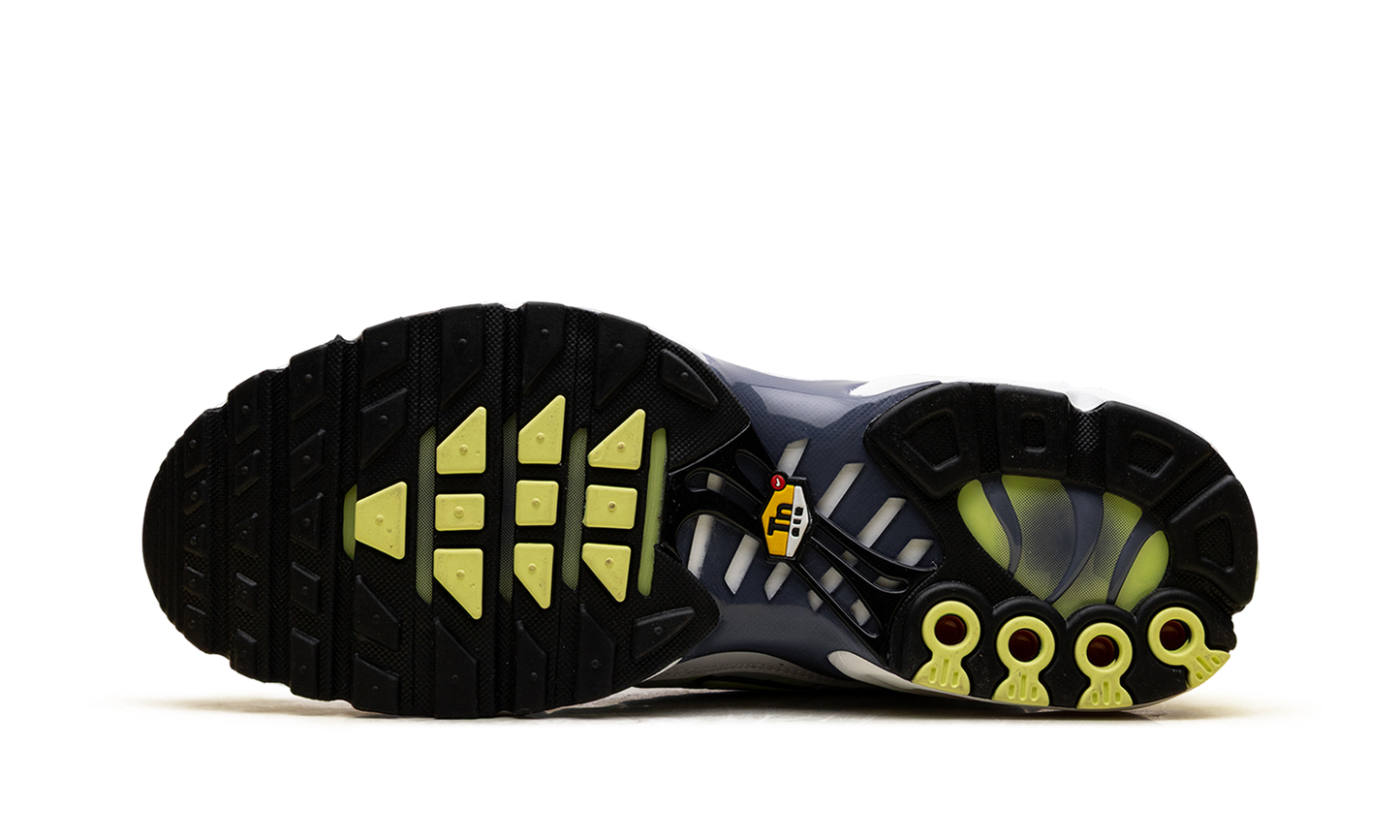 Nike Air Max Plus "Pebble Grey Lime" HV6227 001