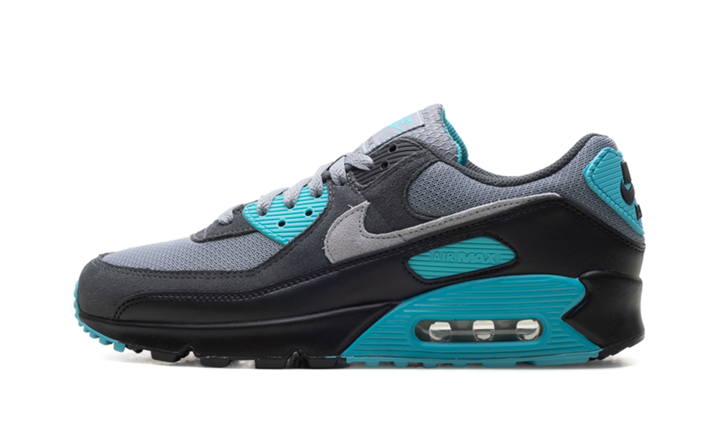 Nike Air Max 90 "Dusty Cactus" DM0029 013