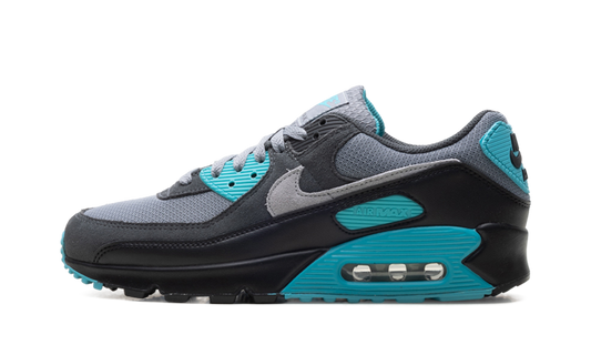 Nike Air Max 90 "Dusty Cactus" DM0029 013