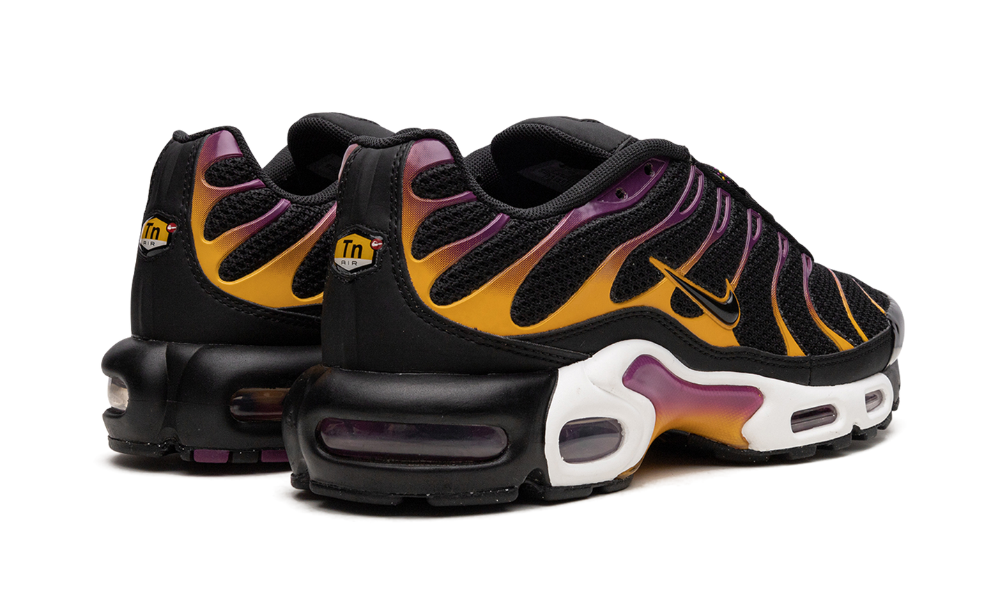 Nike Air Max Plus DX2663 001