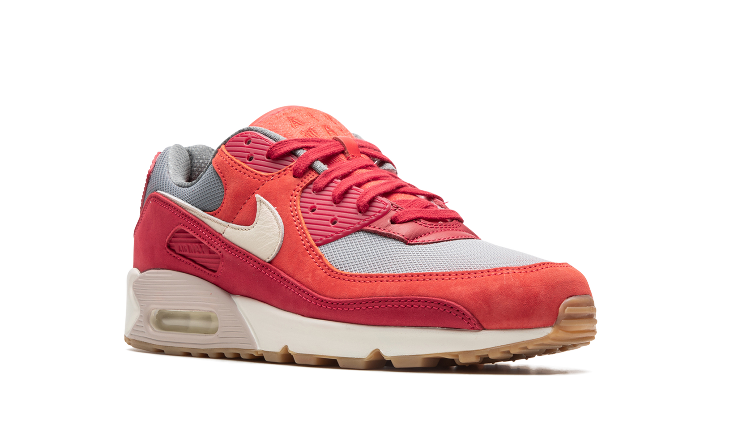 Nike Air Max 90 PRM "Gym Red" DH4621 600