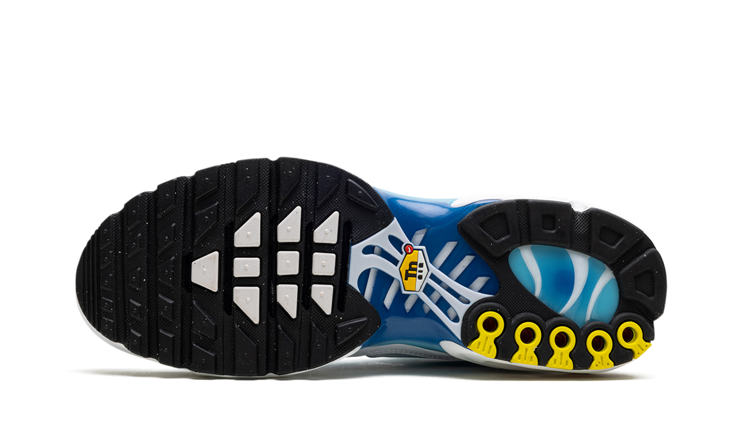 Nike Air Max Plus "Blue Gaze" 852630 411