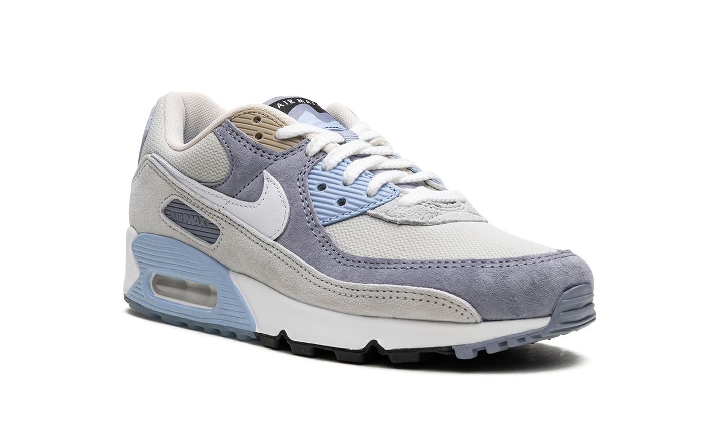 Nike Air Max 90 "Ashen Slate" DM0035 400