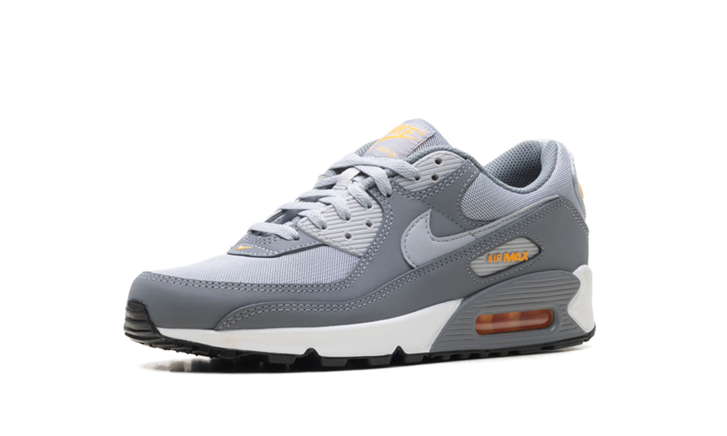 Nike Air Max 90 "Cool Grey Sundial" HV6224 002