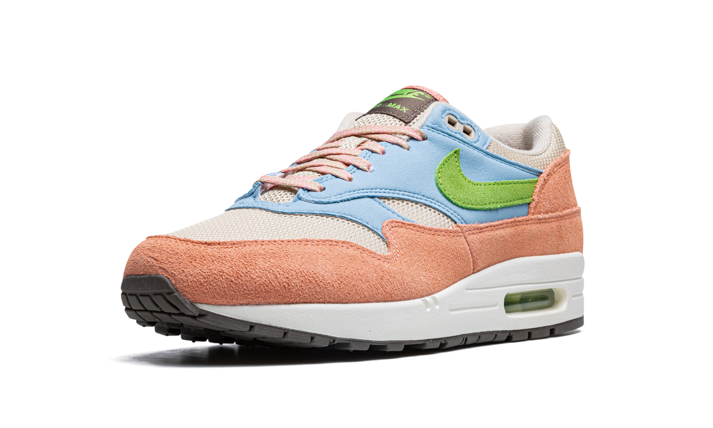 Nike Air Max 1 "Light Madder Root" DV3196 800