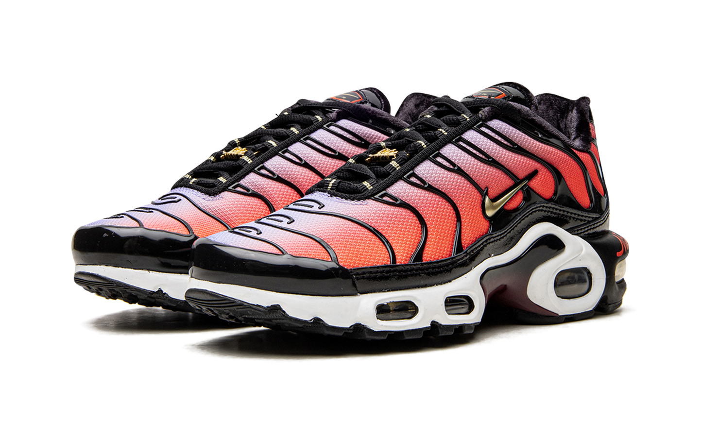 Nike AIR MAX PLUS MNS WMNS "Sisterhood" DO6115 500