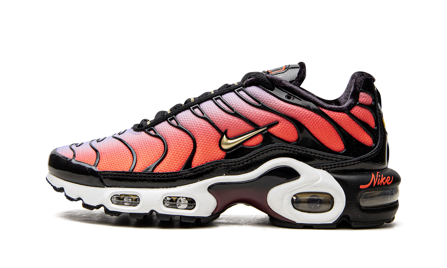 Nike AIR MAX PLUS MNS WMNS "Sisterhood" DO6115 500