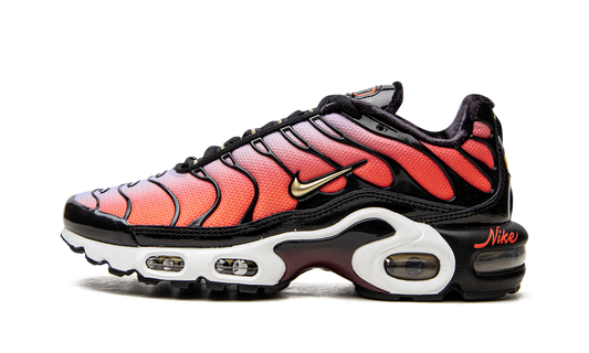 Nike AIR MAX PLUS MNS WMNS "Sisterhood" DO6115 500