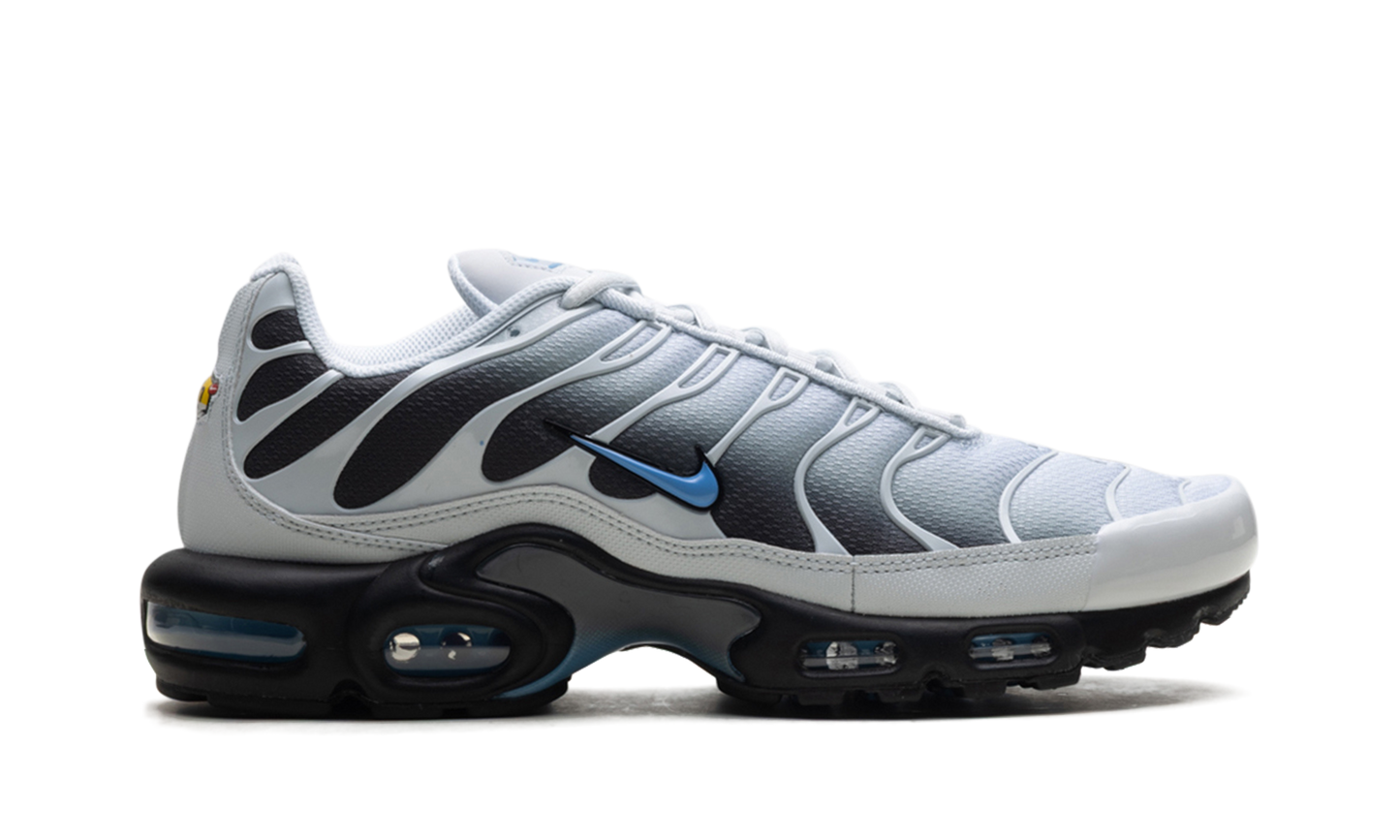 Nike Air Max Plus "Grey University Blue Black" DM0032 015