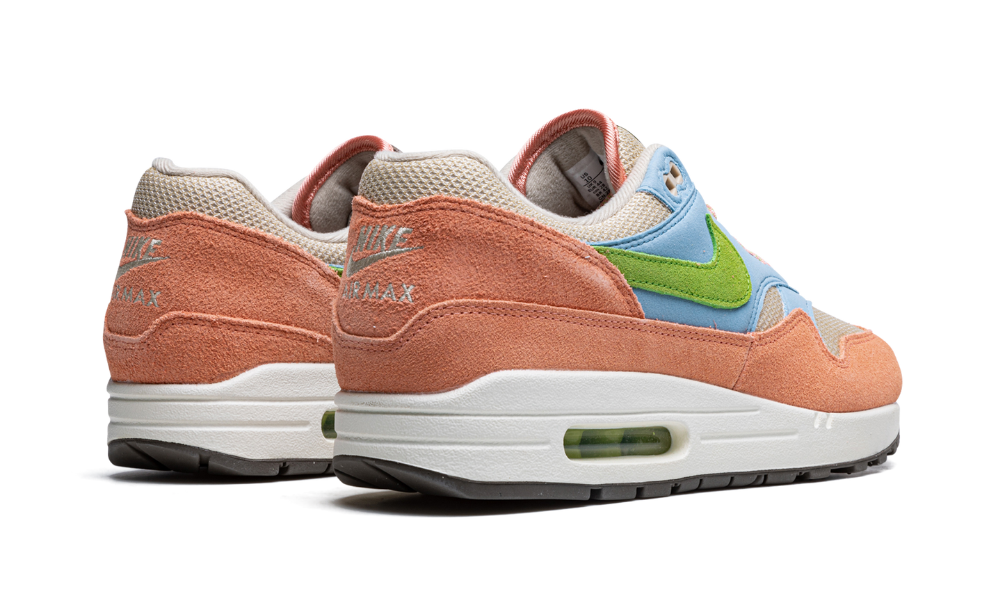 Nike Air Max 1 "Light Madder Root" DV3196 800