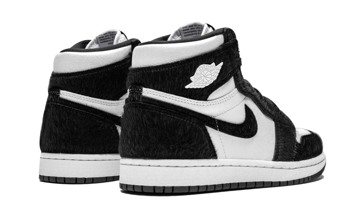AIR JORDAN 1 RETRO HIGH OG WMNS Twist CD0461 007