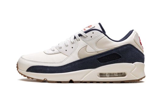 Nike Air Max 90 "Rare Air - Pale Ivory" IH4379 110