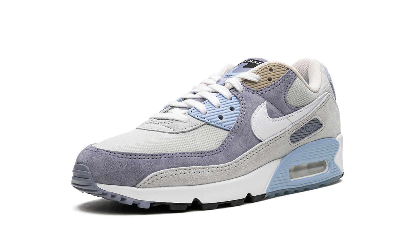 Nike Air Max 90 "Ashen Slate" DM0035 400