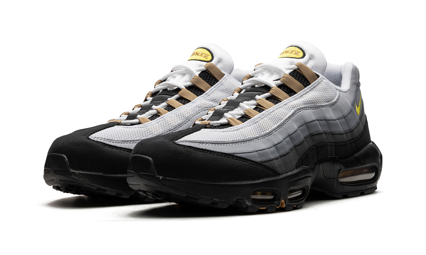 Nike Air Max 95 "ICONS" DX4236 100