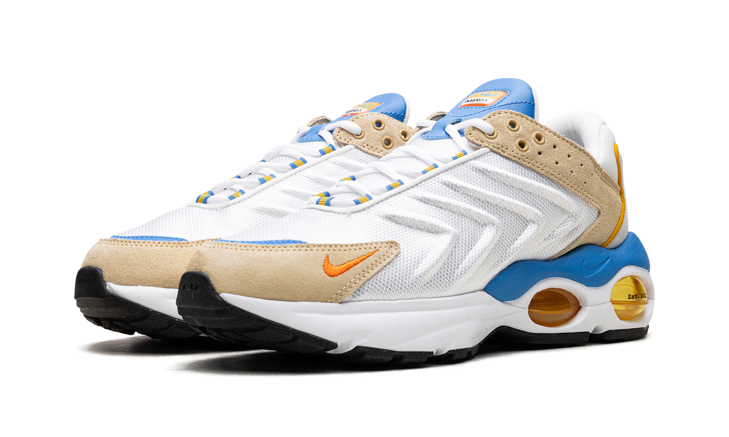 Nike Air Max TW "Frank Rudy" DV1232 100