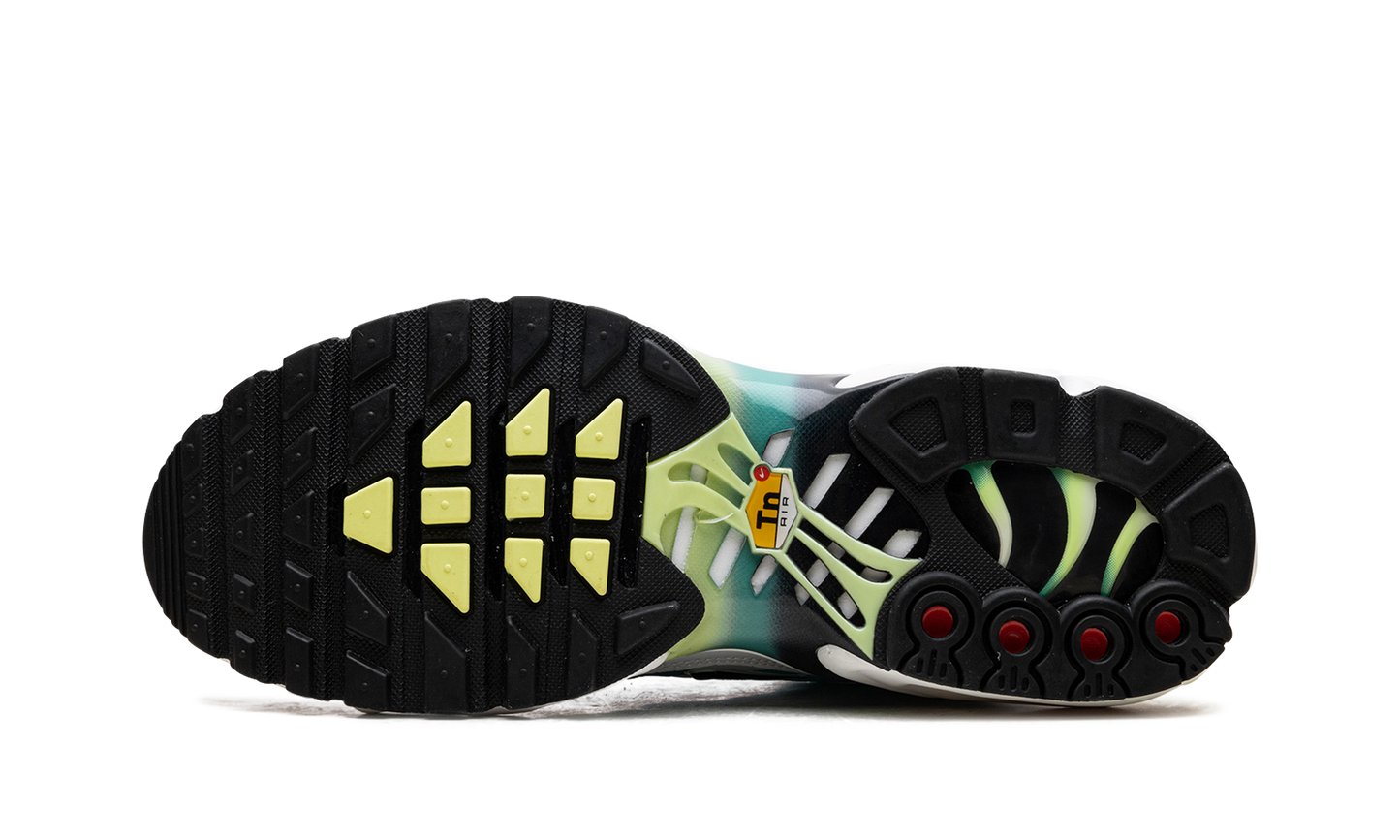 Nike Air Max Plus WMNS "Dusty Cactus Barely Volt" DZ3670 102