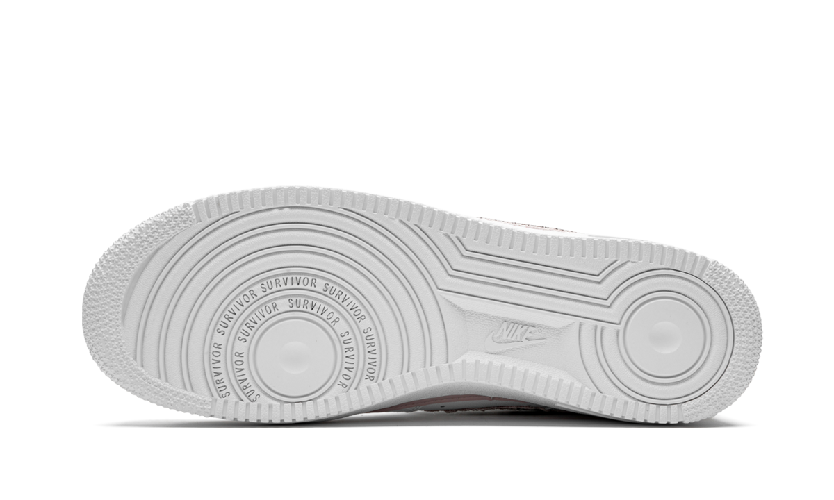 Nike Air Force 1 Low "Doernbecher 2019" CV2591 100
