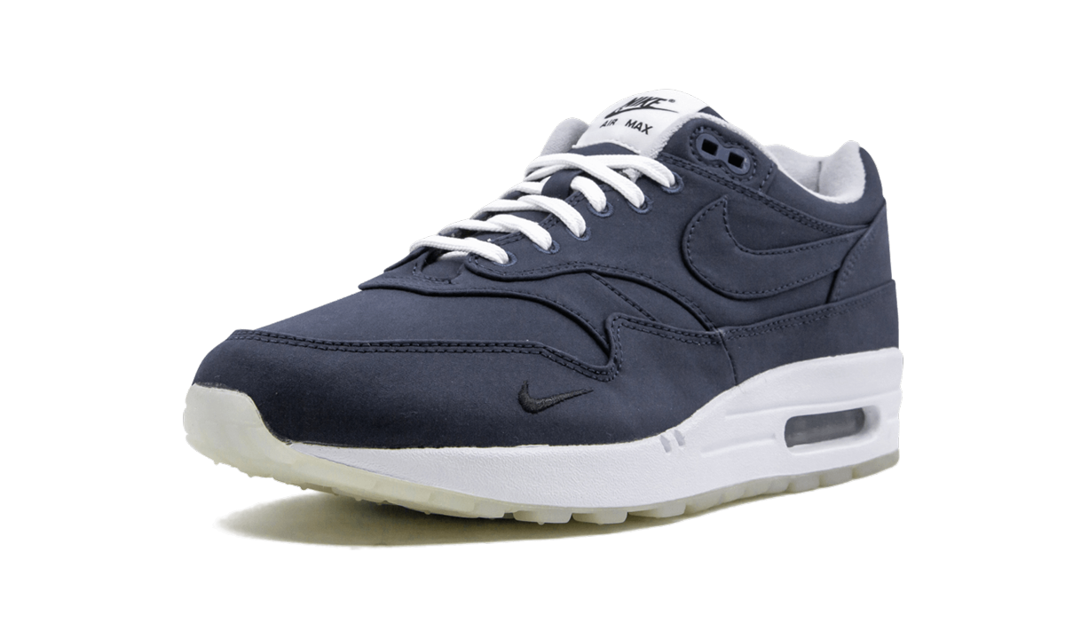 Nike Air Max 1 "DSM" AH8051 400