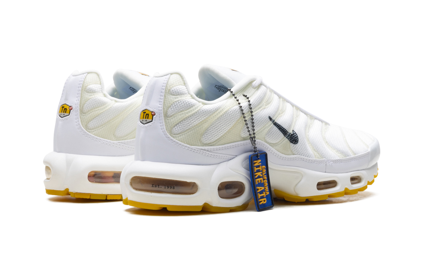 Nike Air Max Plus "Marion Frank Rudy" DQ8960 100
