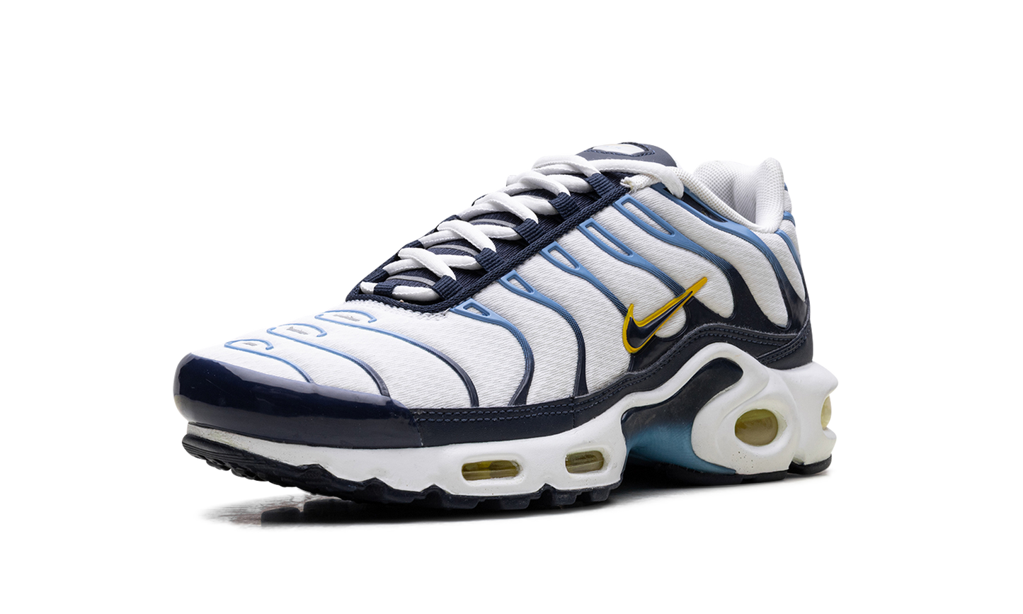 Nike Air Max Plus CT1094 100