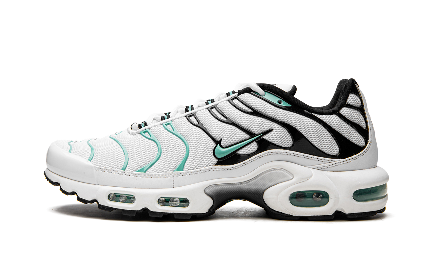 Nike Air Max Plus "Atmos" 604133 148