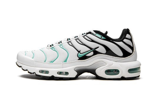 Nike Air Max Plus "Atmos" 604133 148