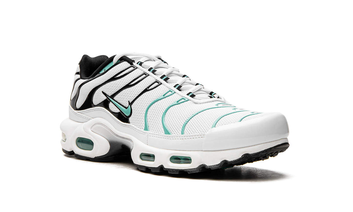 Nike Air Max Plus "Atmos" 604133 148
