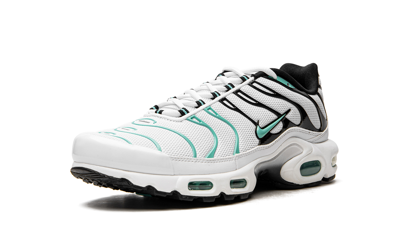 Nike Air Max Plus "Atmos" 604133 148