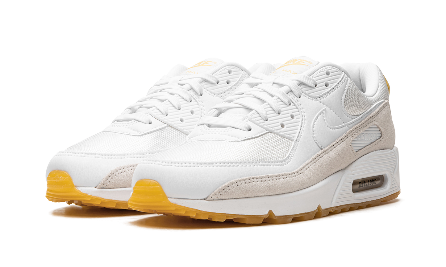 Nike Air Max 90 "Frank Rudy" DV1734 100