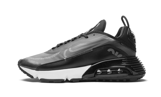 Nike AIR MAX 2090 "Black / Wolf Grey" CW7306 001