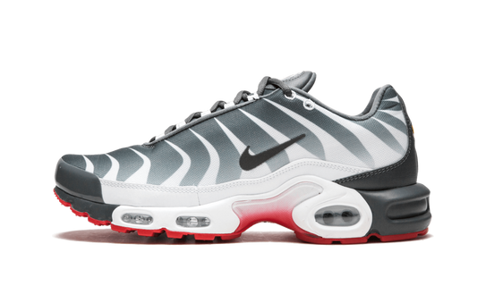 Nike Air Max Plus TN SE AQ0237 100