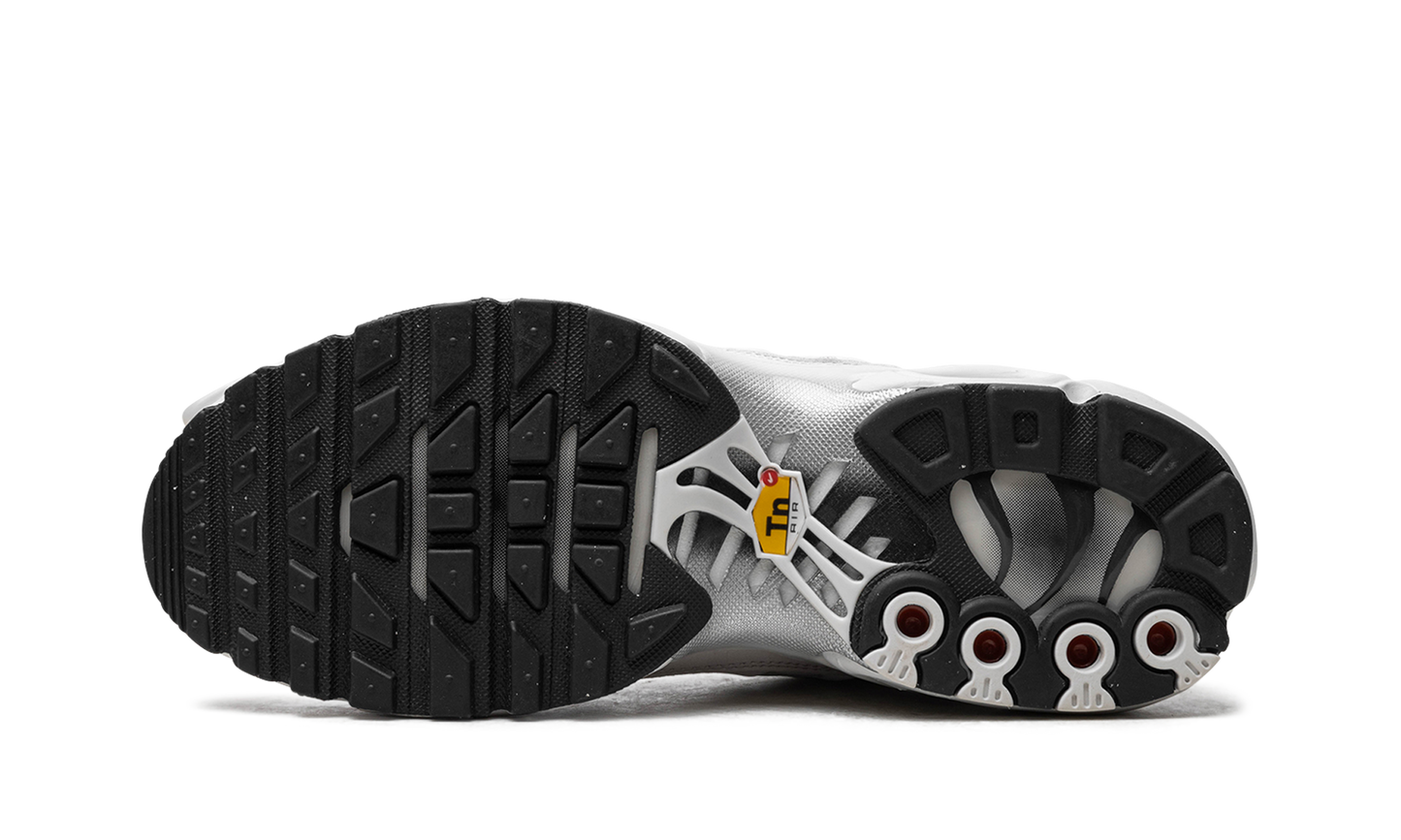 Nike Air Max Plus WMNS "Platinum Tint" FZ4342 001