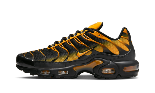 Nike AIR MAX PLUS "Black" DM0032-007